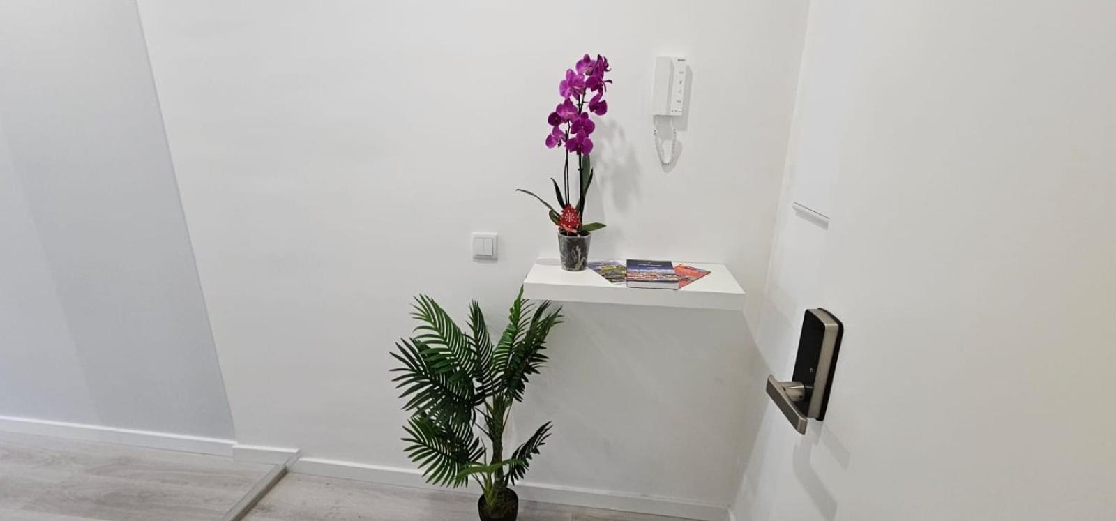 Time Off Madeira Apartment *